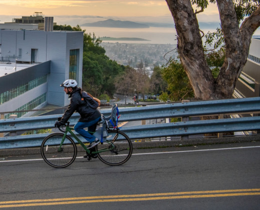Bicycle and rider on Lab road