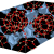 zoelite structure v3